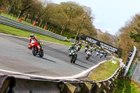 Oulton-Park-21st-March-2020;PJ-Motorsport-Photography-2020;anglesey;brands-hatch;cadwell-park;croft;donington-park;enduro-digital-images;event-digital-images;eventdigitalimages;mallory;no-limits;oulton-park;peter-wileman-photography;racing-digital-images;silverstone;snetterton;trackday-digital-images;trackday-photos;vmcc-banbury-run;welsh-2-day-enduro